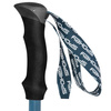 Kije trekkingowe Spokey CARBON