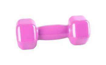 HANTEL FITNESS 2KG VINYL DUMBELL POWER-SYSTEM