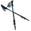 Kije trekkingowe Spokey CARBON
