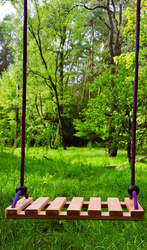 HUŚTAWKA DESKA drewniana naturalna z linami dla dziecka ECO POLSKA PRODUKCJA