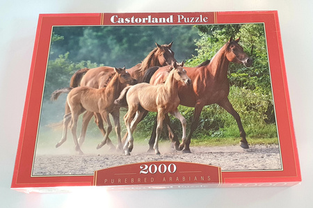 CASTORLAND Puzzle 2000 elementów KONIE NOWE
